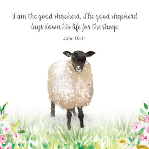 Cute Black and White Lamb with Copy Space Watercolor Style Illus